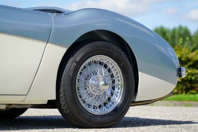 Austin Healey 100/4 (BN1), 1955