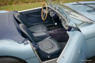 Austin Healey 100/4 BN1, 1955