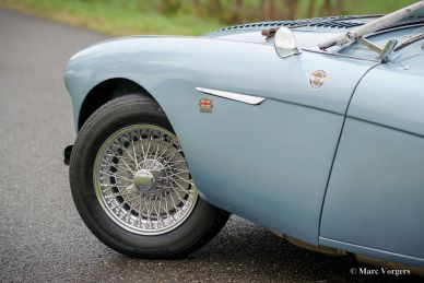 Austin Healey 100/4 BN1, 1955