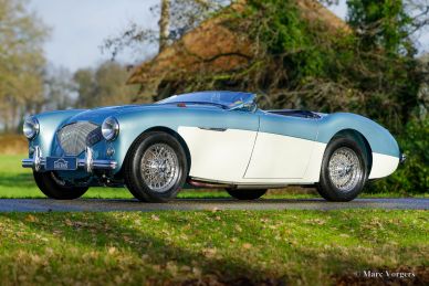 Austin Healey 100/4 BN2, 1956