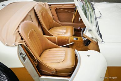 Austin Healey 100/4 BN1, 1955