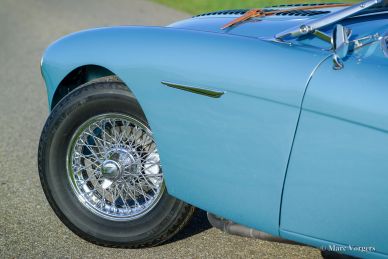 Austin Healey 100/M BN2 ‘Le Mans’, 1956
