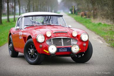 Austin Healey 100/6 Rally Car, 1958