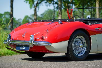 Austin Healey 100/6, 1959