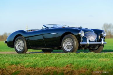 Austin Healey 100/4 BN2 ‘Le Mans’, 1955
