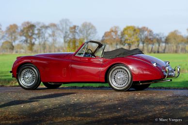 Jaguar XK 120 DHC, 1953