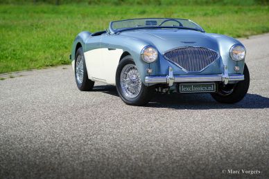 Austin Healey 100/4 (BN1), 1955