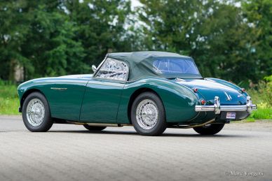 Austin Healey 100/4 BN1, 1955