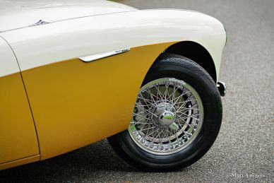 Austin Healey 100/4 BN1, 1955