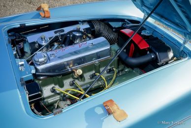 Austin Healey 100/M BN2 ‘Le Mans’, 1956