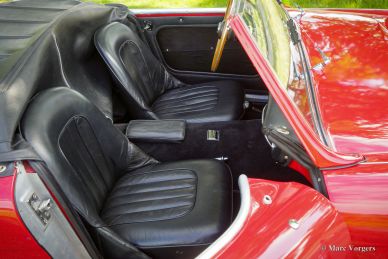 Austin Healey 100/6, 1959