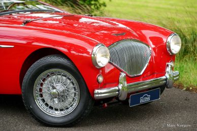Austin Healey 100/M ‘Le Mans’, 1955