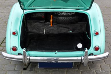 Austin Healey 100/4 BN-1, 1954