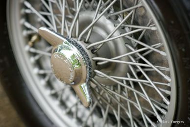 Austin Healey 100/4 BN1, 1953