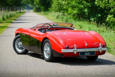Austin Healey 100/4, 1954