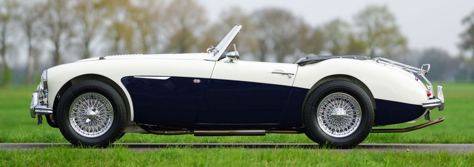 Austin Healey 100/6 BN4, 1957