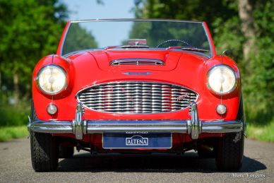 Austin Healey 100/6, 1959