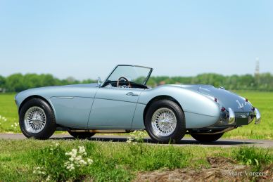 Austin Healey 100/6, 1958