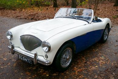 Austin Healey 100/M BN1, 1954 Mille Miglia preparation