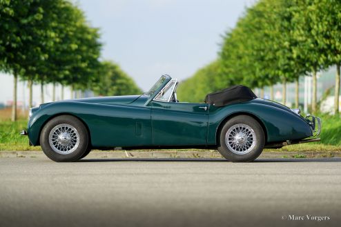 Jaguar XK 120 DHC, 1954