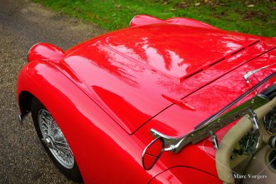 Triumph TR 2, 1954