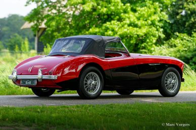 Austin Healey 100/4, 1954