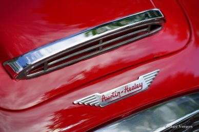 Austin Healey 100/6, 1959