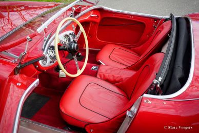 Austin Healey 100/4 BN2, 1956