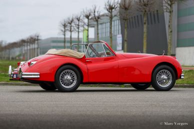 Jaguar XK 140 SE DHC, 1956