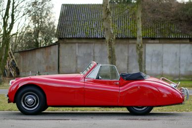 Jaguar XK 120 DHC, 1954