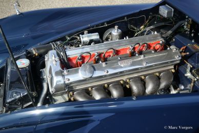 Jaguar XK 140 SE DHC, 1956