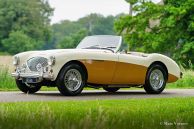 Austin Healey 100/4 BN1, 1955