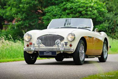 Austin Healey 100/4 BN1, 1955