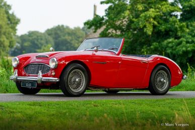 Austin Healey 100/6, 1959