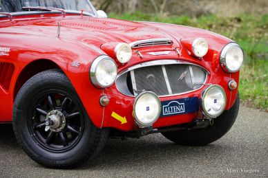Austin Healey 100/6 Rally Car, 1958