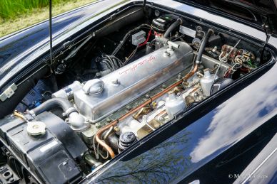 Austin Healey 3000 MK I, 1959