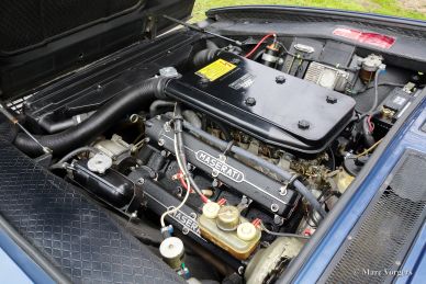 Maserati Kyalami, 1980