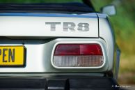 Triumph TR 8, 1980