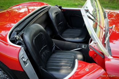 Austin Healey 100/4, 1954