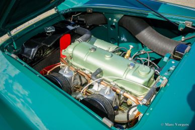 Austin Healey 100/4 BN1, 1955