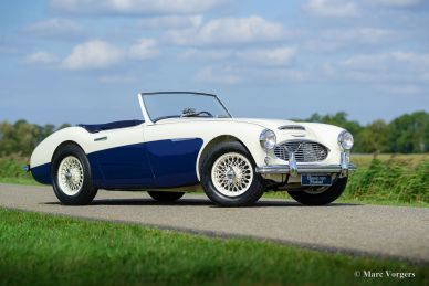 Austin Healey 100/6 BN4, 1959