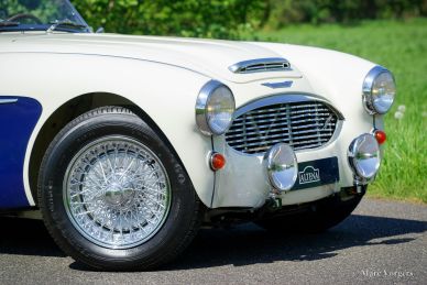 Austin Healey 100/6 ‘two-seater’, 1958
