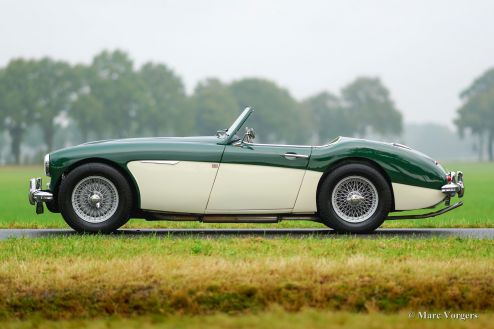 Austin Healey 100/6 'two-seater', 1957