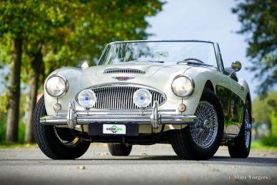 Austin Healey 3000 MK 2 A, 1964