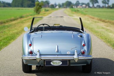 Austin Healey 100/6 BN6, 1958