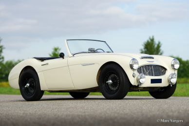 Austin Healey 100/6, 1959