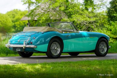 Austin Healey 3000 Mk II A, 1964