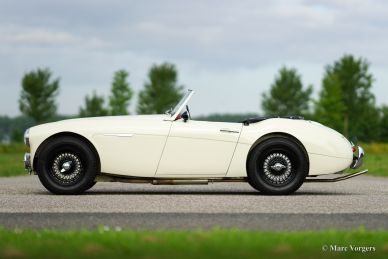 Austin Healey 100/6, 1959