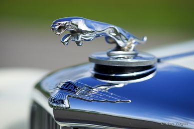 Jaguar Mk V 3.5 DHC, 1951