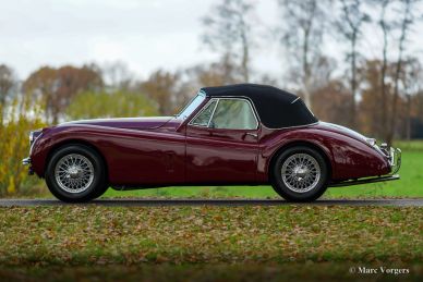 Jaguar XK 120 DHC, 1953